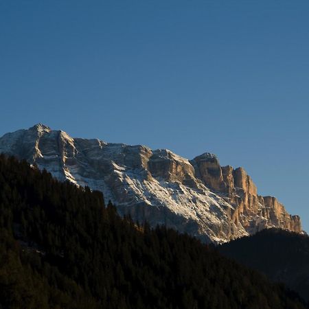 Piculin Alpin Apartments San Martino in Badia Eksteriør bilde